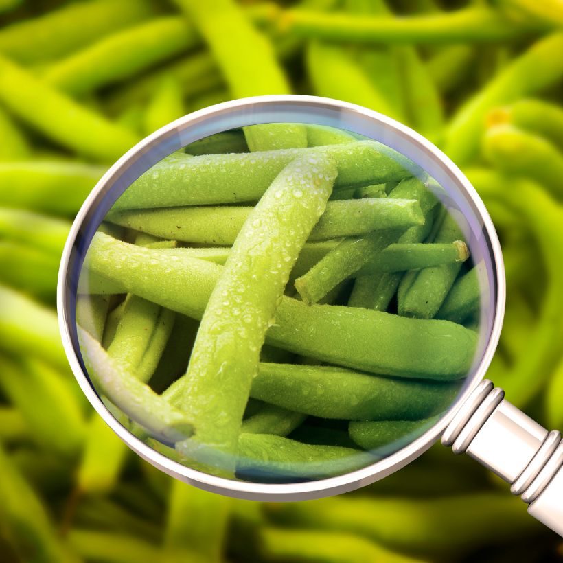 HACCP kontrola hrane