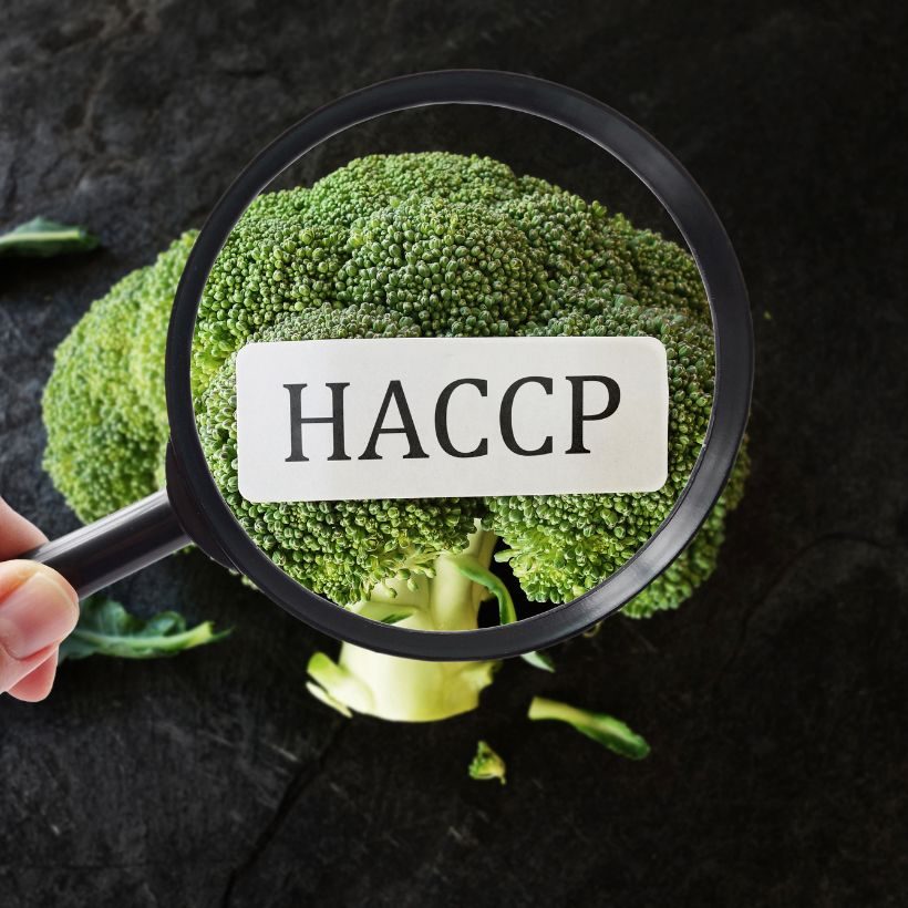 Haccp sistem